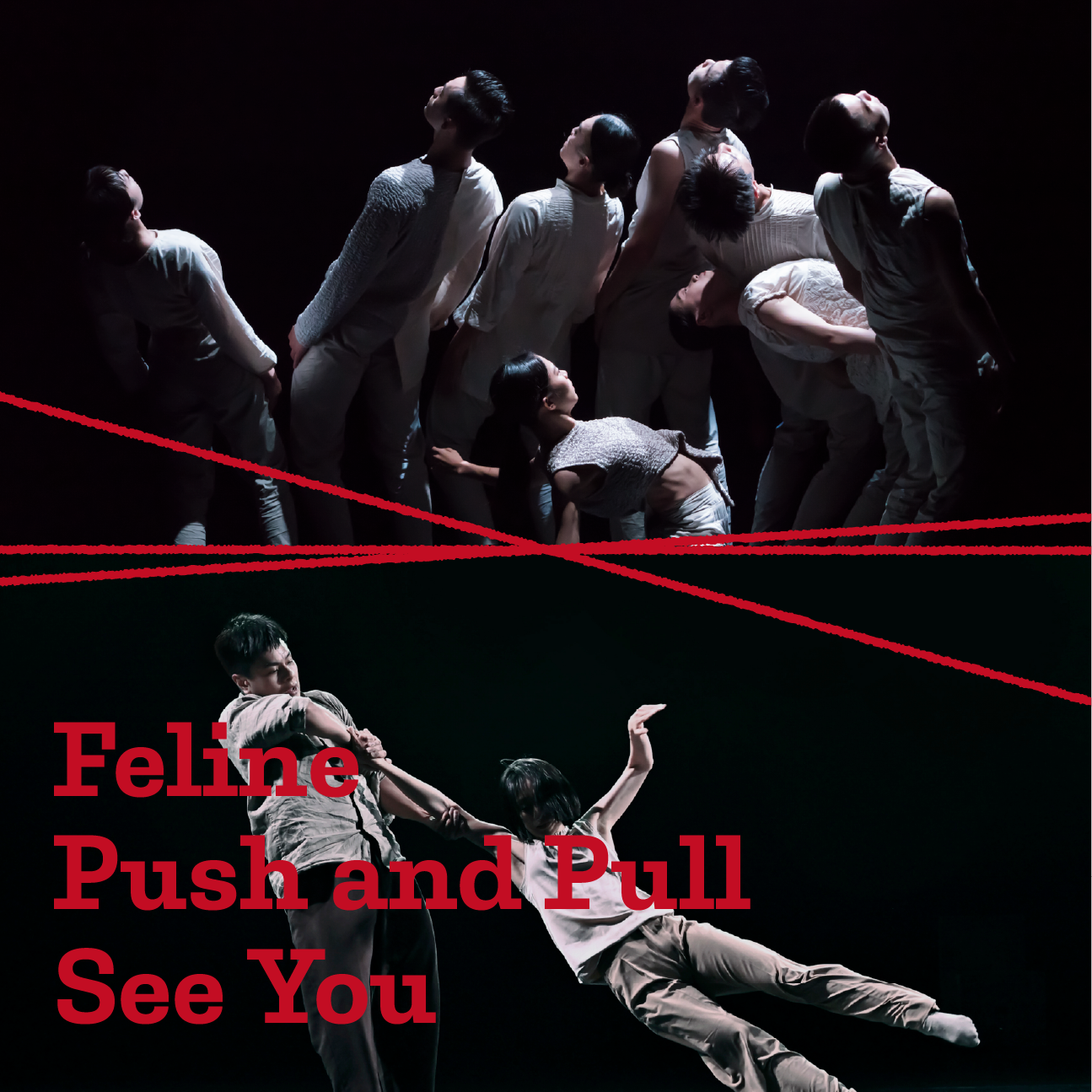 Triple Bill by LAI Hung-chung: Feline, Push and Pull, See You